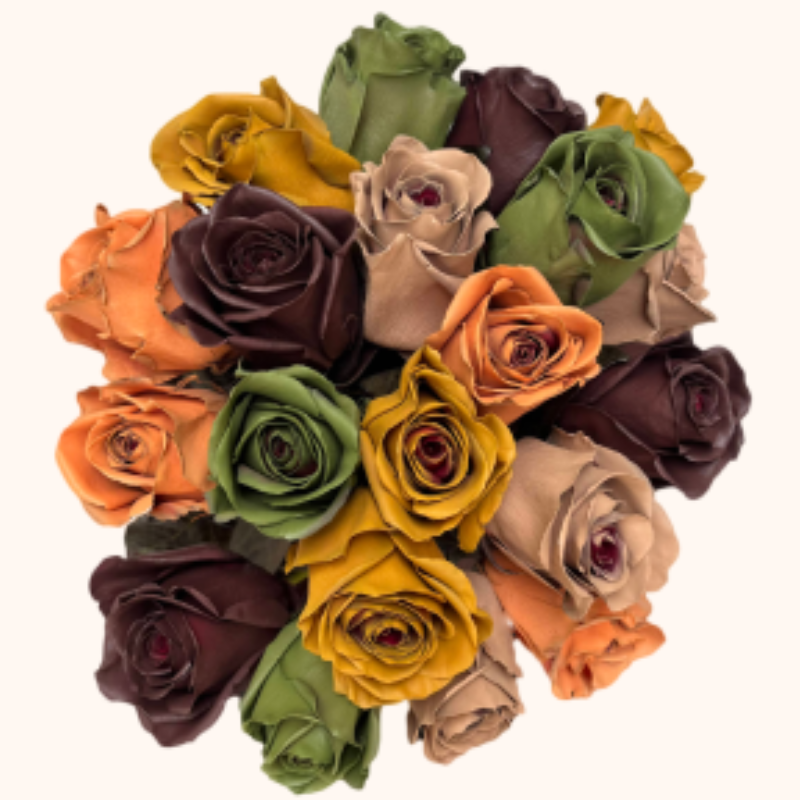 Autumn Vibes Tinted Roses