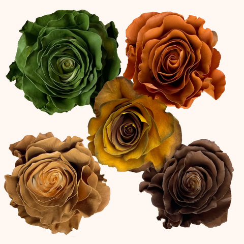 Autumn Vibes Tinted Roses