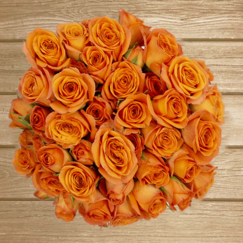 Babe Orange Spray Roses EbloomsDirect Eblooms Farm Direct Inc.