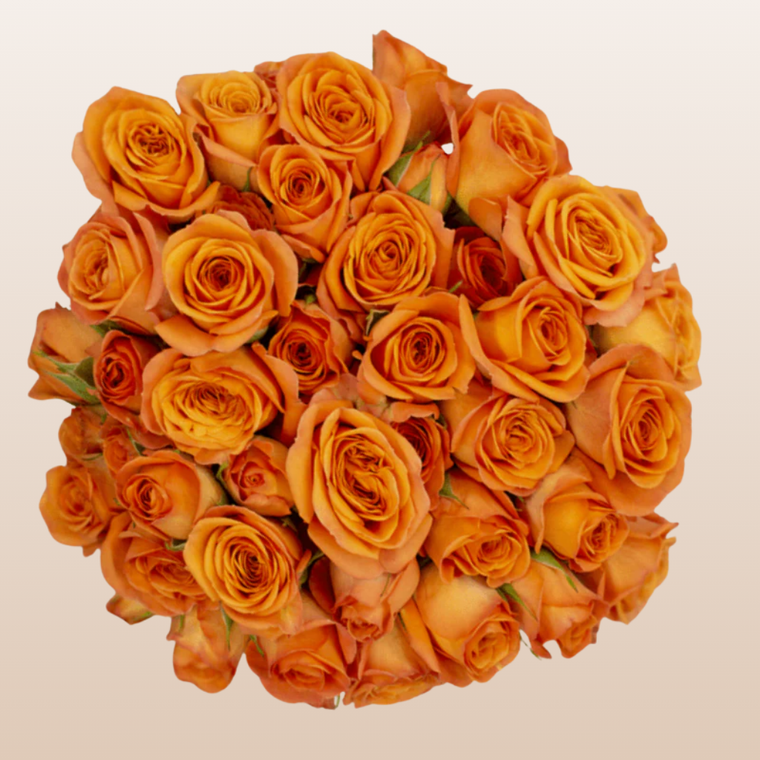Spray Roses - Flowers for delivery near me - Free Shipping EbloomsDirect