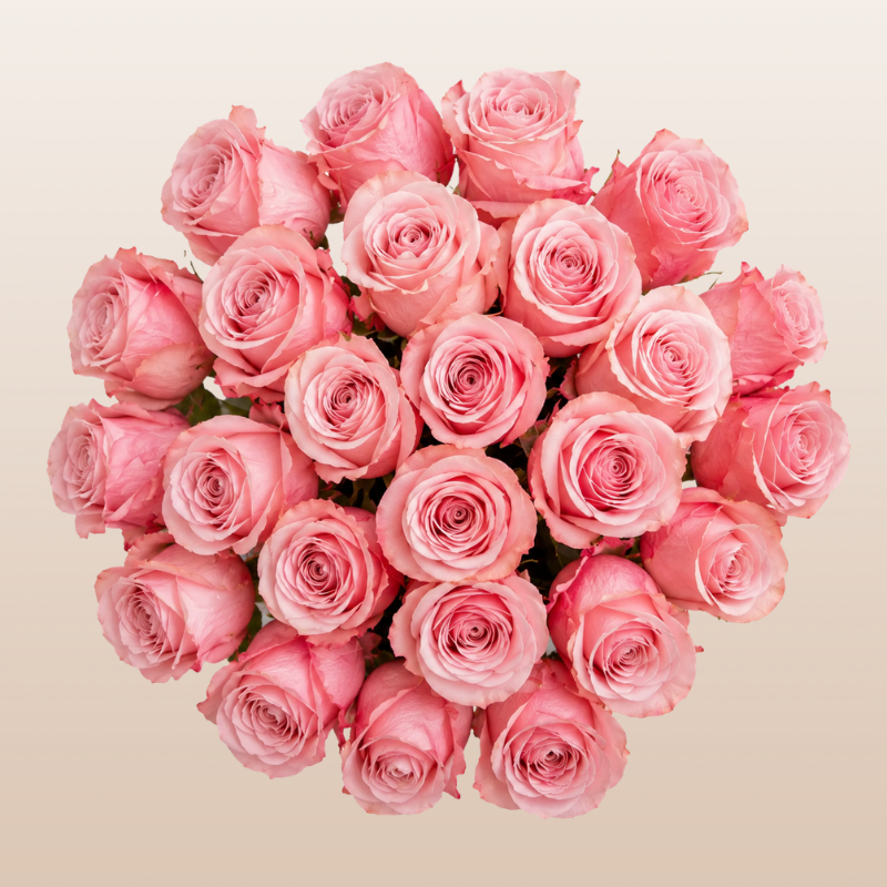 Be Sweet Roses