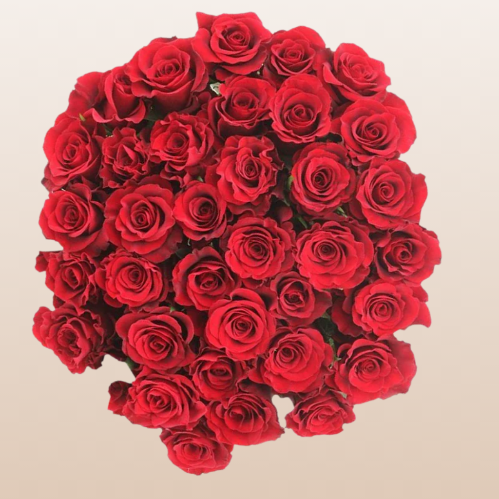 Believed Roses Believe Red Rose Variety - EbloomsDirect