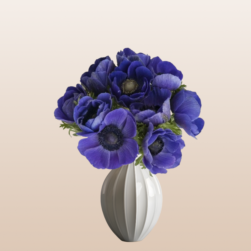 Anemones Blue
