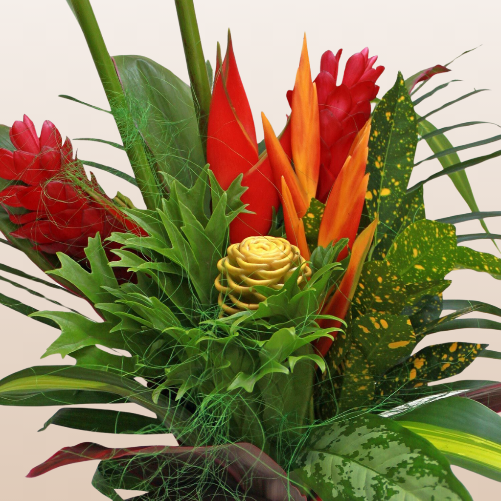 Bountiful Harvest Tropical Bouquet  Box - Pack 4