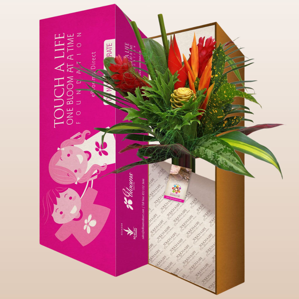 Bountiful Harvest Tropical Bouquet  Box - Pack 4