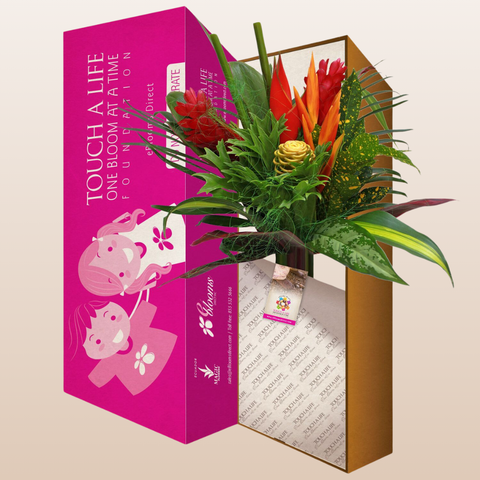 Bountiful Harvest Tropical Bouquet  Box - Pack 4