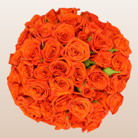 Bright Sensation Orange Spray Roses