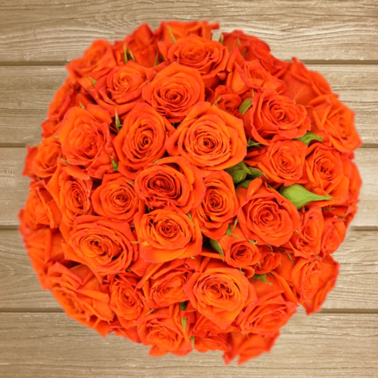 Bright Sensation Orange Spray Roses