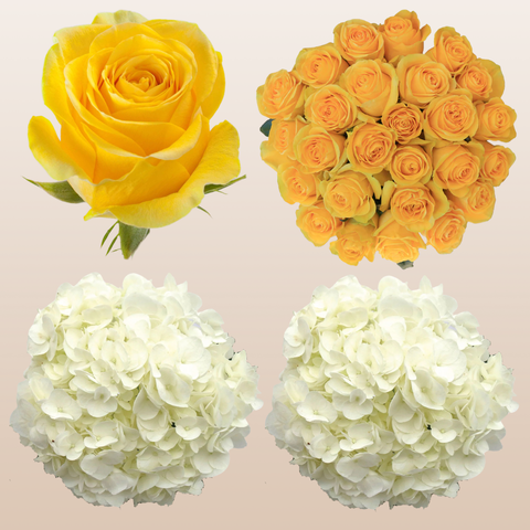 Flower Combo Box #8 Roses & Hydrangeas