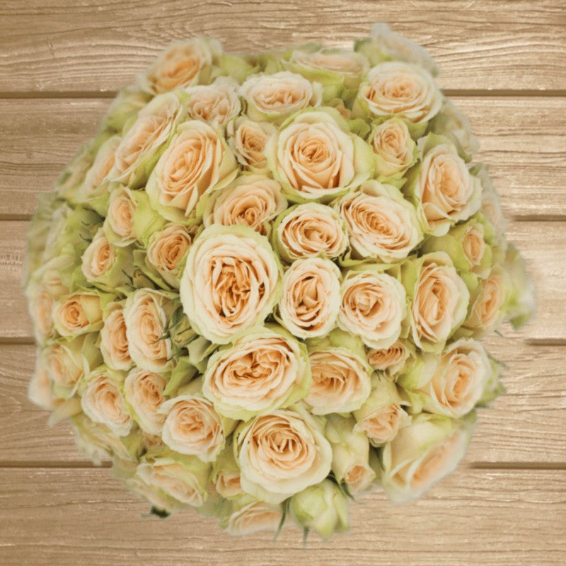Brilliant Stars Capricon Peach Spray Rose EbloomsDirect Eblooms Farm Direct Inc.