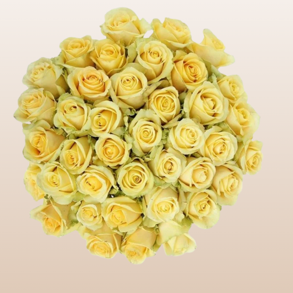 Butter Scotch Yellow Rose Variety -EbloomsDirect