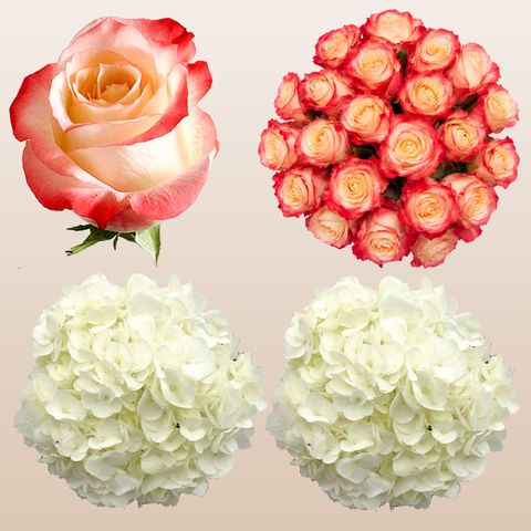 Flower Combo Box #8 Roses & Hydrangeas