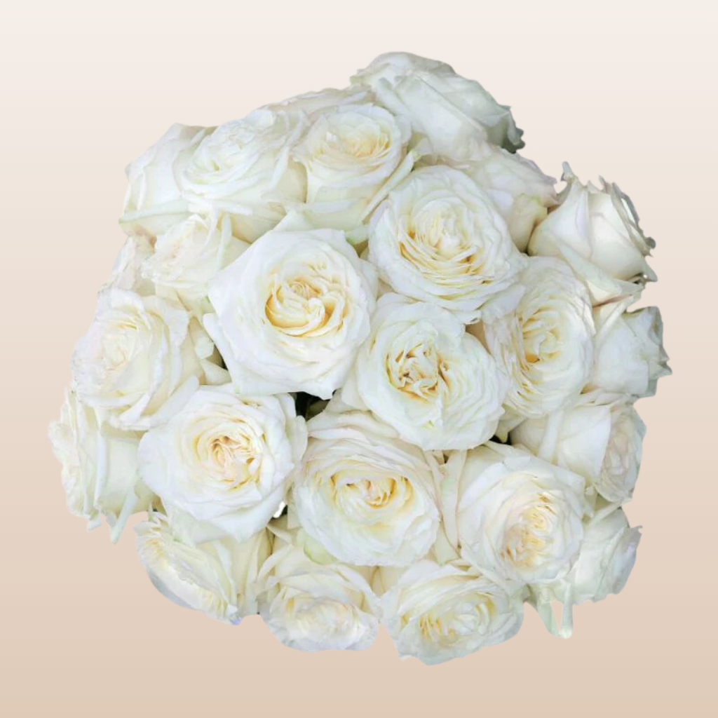 Candlelight Roses Candlelight Roses – EbloomsDirect