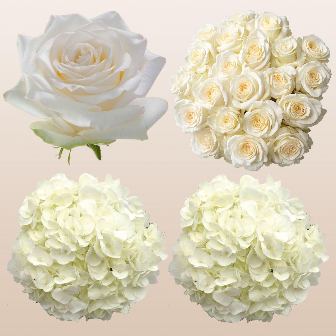 Flower Combo Box #8 Roses & Hydrangeas