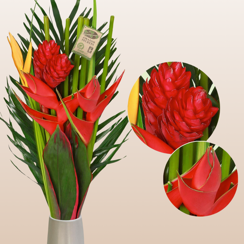 Caribe Tropical Bqt Box