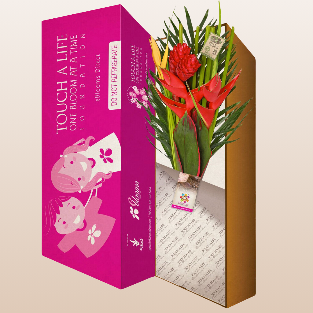 Caribe Tropical Bqt Box
