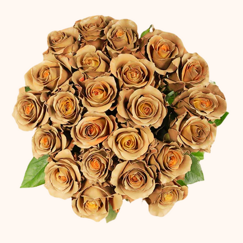 Cinnamon Tinted Roses