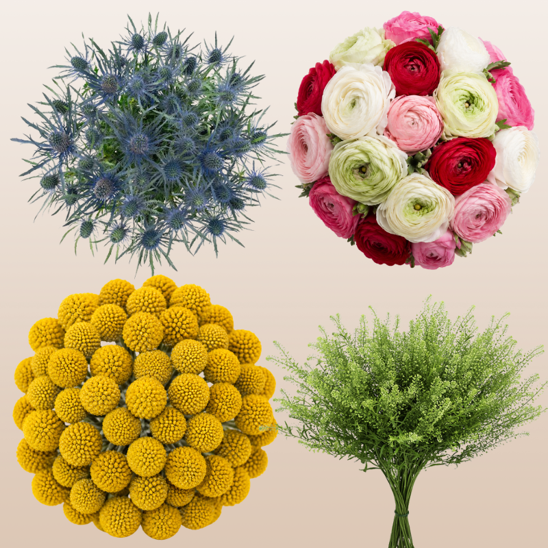 Designer Combo Box #7 | Ranunculus, Craspedia, Eryngium & Lepidium PK130