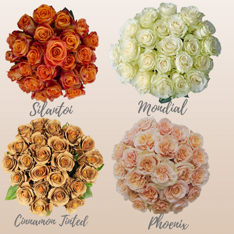 Rose Autumn Assorted