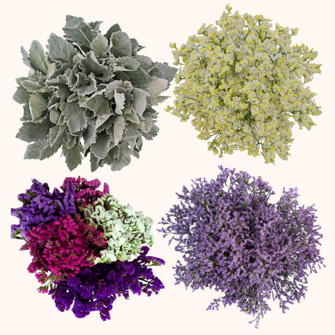 DIY Filler Flower Combo Box #1 Limonium, Statice & Dusty Miller -PK98