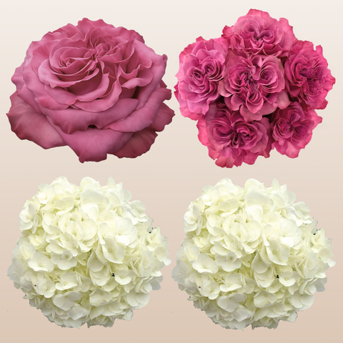 Flower Combo Box #8 Roses & Hydrangeas