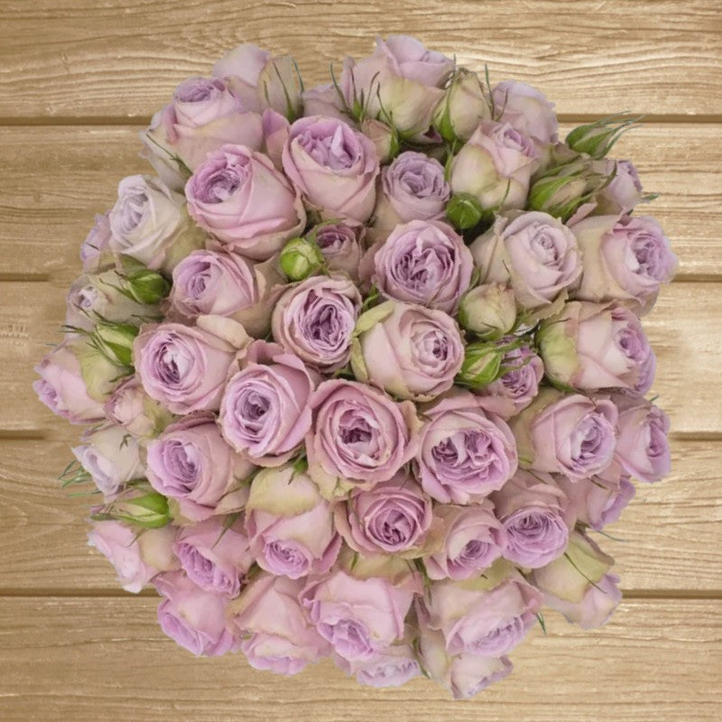 Cozumel Lavender Spray Roses - EbloomsDirect