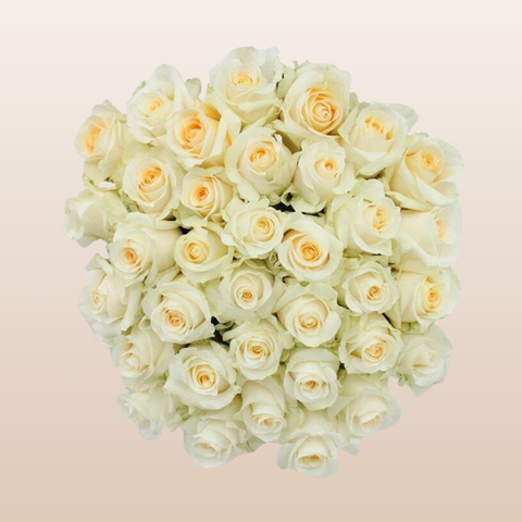 Creme de la Creme Roses