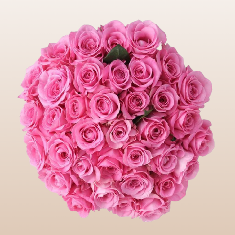 Dark Engagement Roses