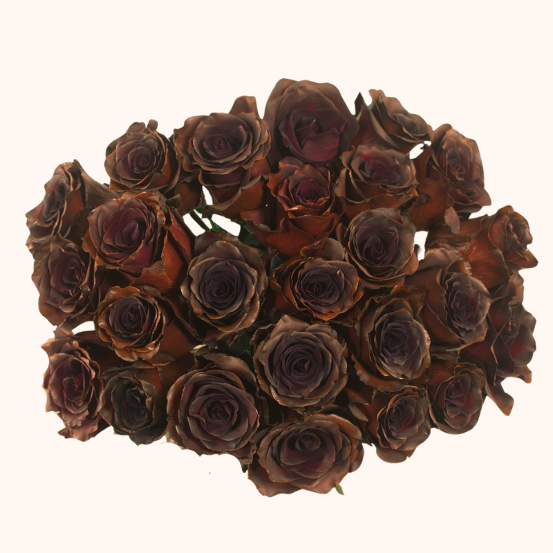 Chocolate Roses Texture Dark Chocoloate Tinted Rose – EbloomsDirect