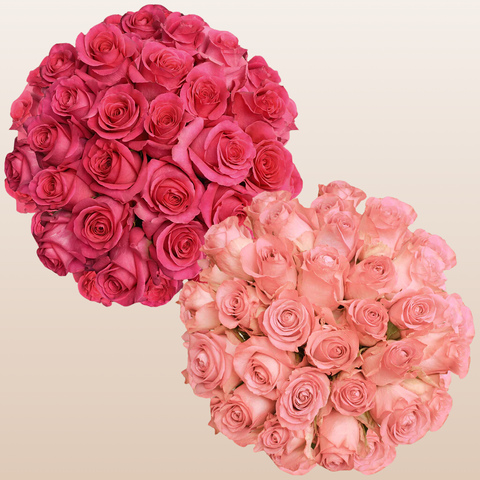 Duo Hot Pink - Light Pink Roses