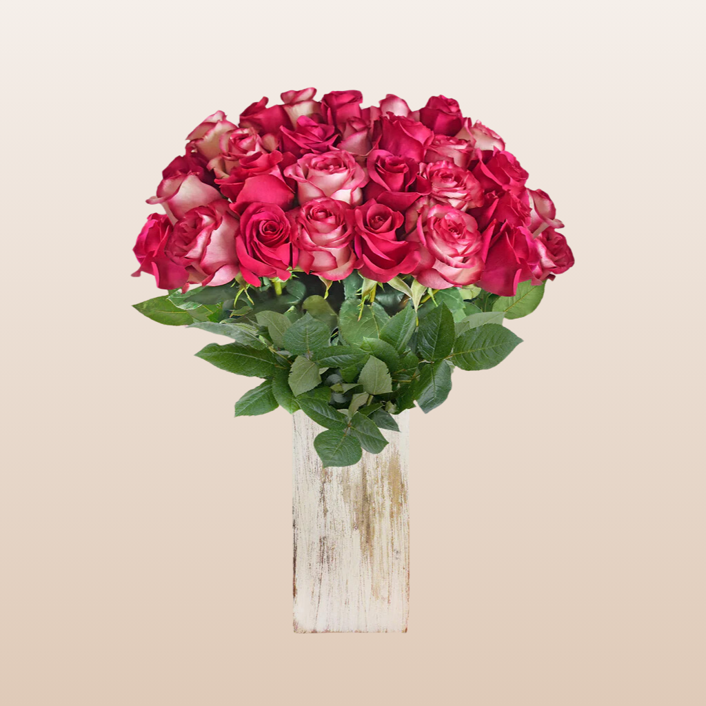 Duo Hot pink - Bicolor Pink Roses