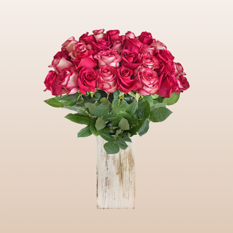 Duo Hot pink - Bicolor Pink Roses