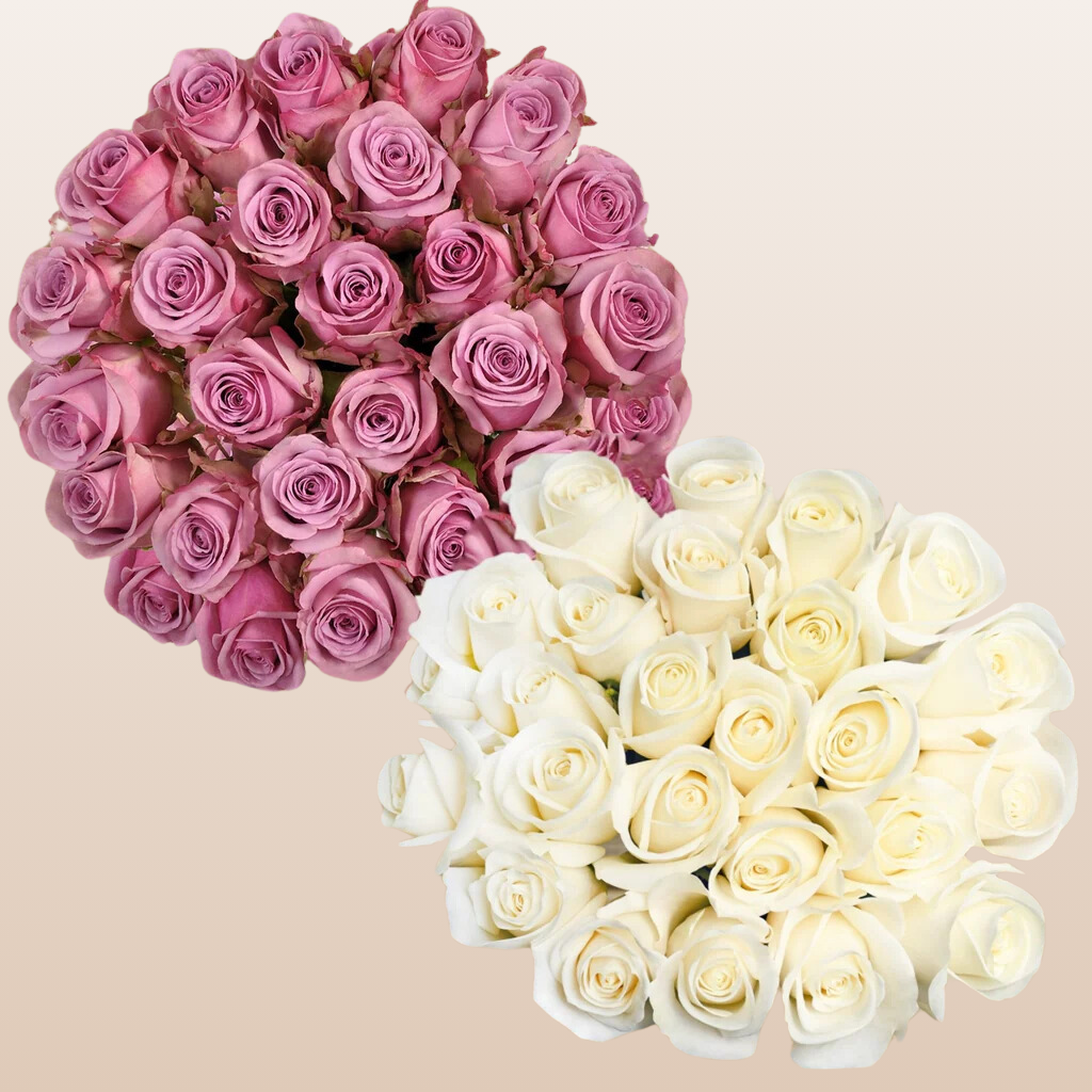 Duo Lavender - White Roses