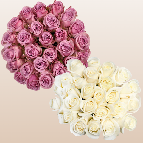 Duo Lavender - White Roses