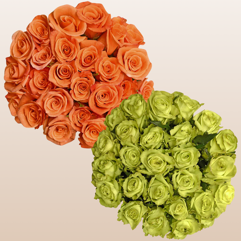 Duo Orange - Green Roses