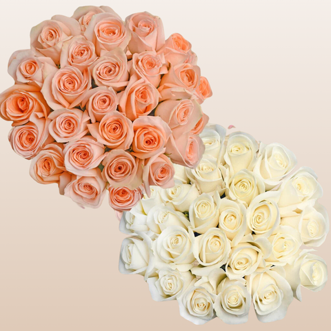 Duo Peach - White Roses