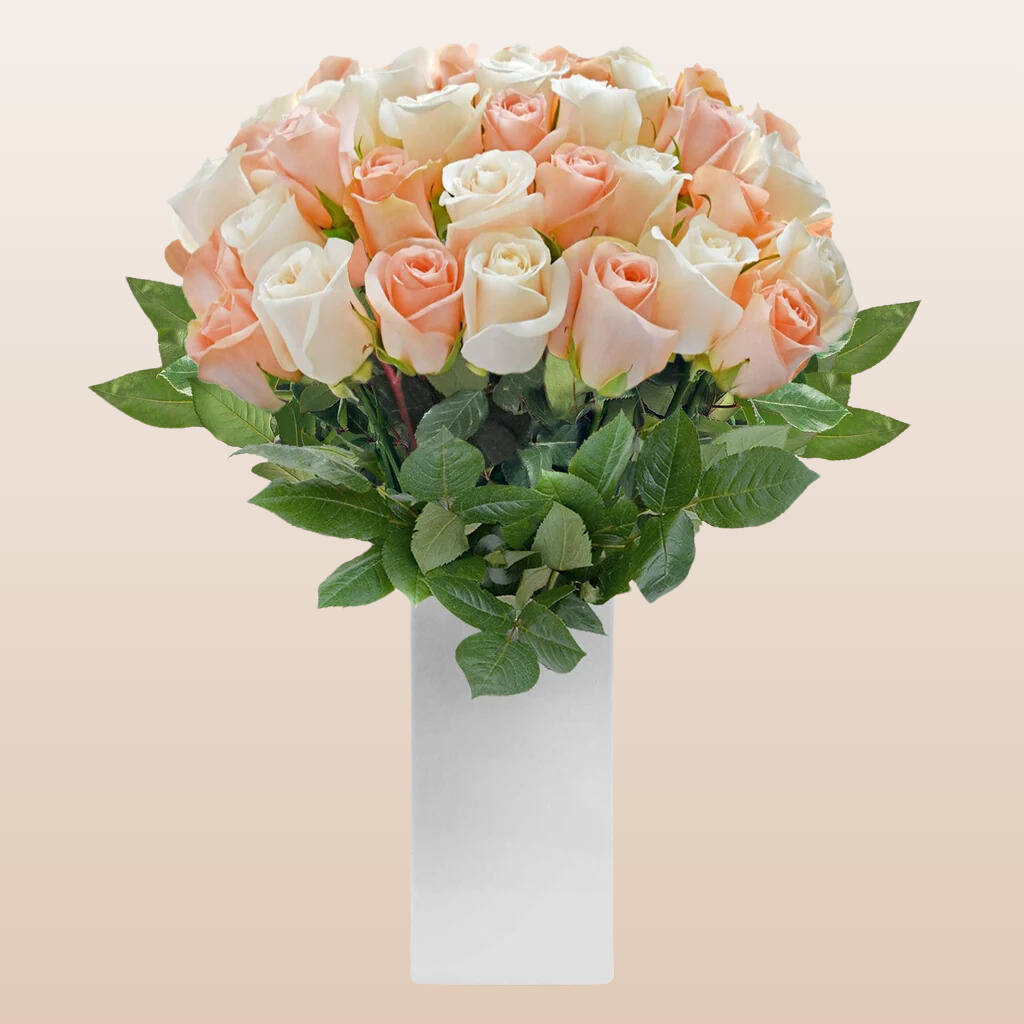 Duo Peach - White Roses