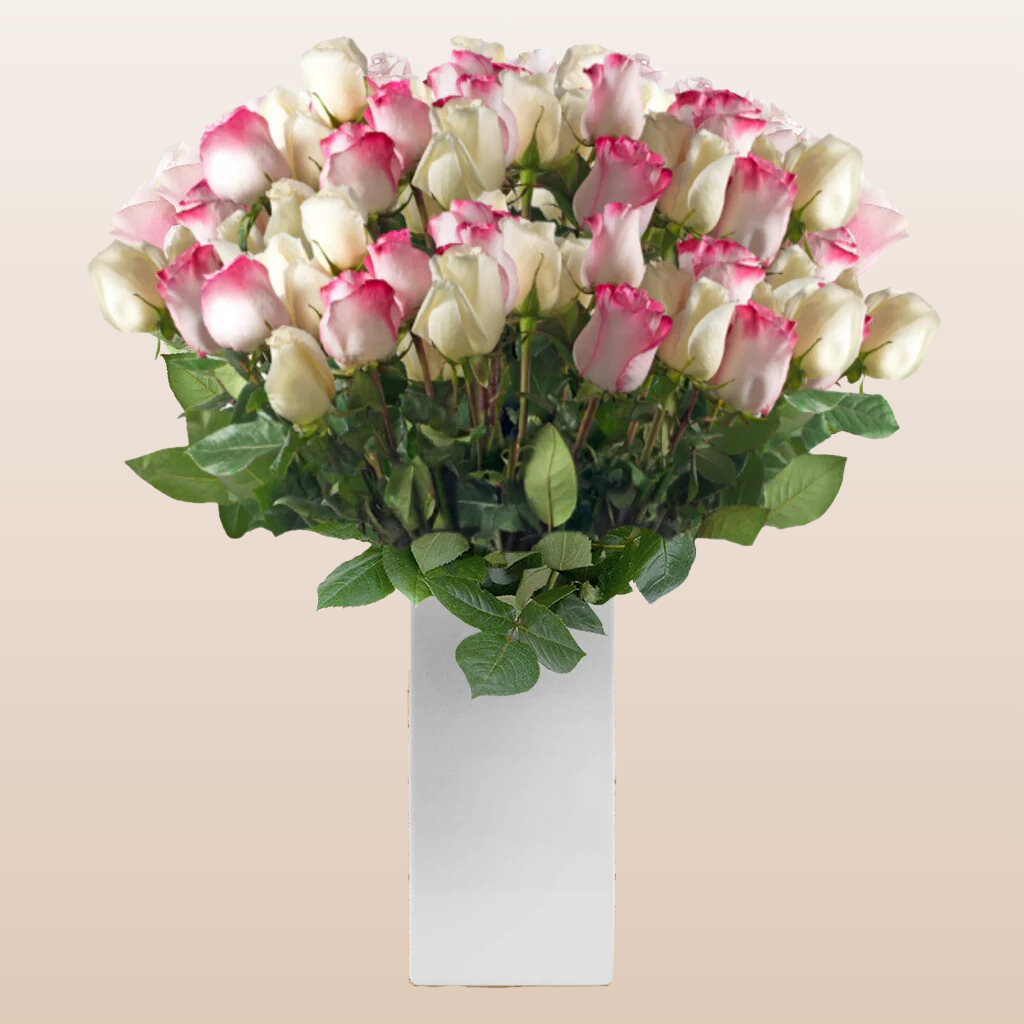 Duo Pink - White Roses