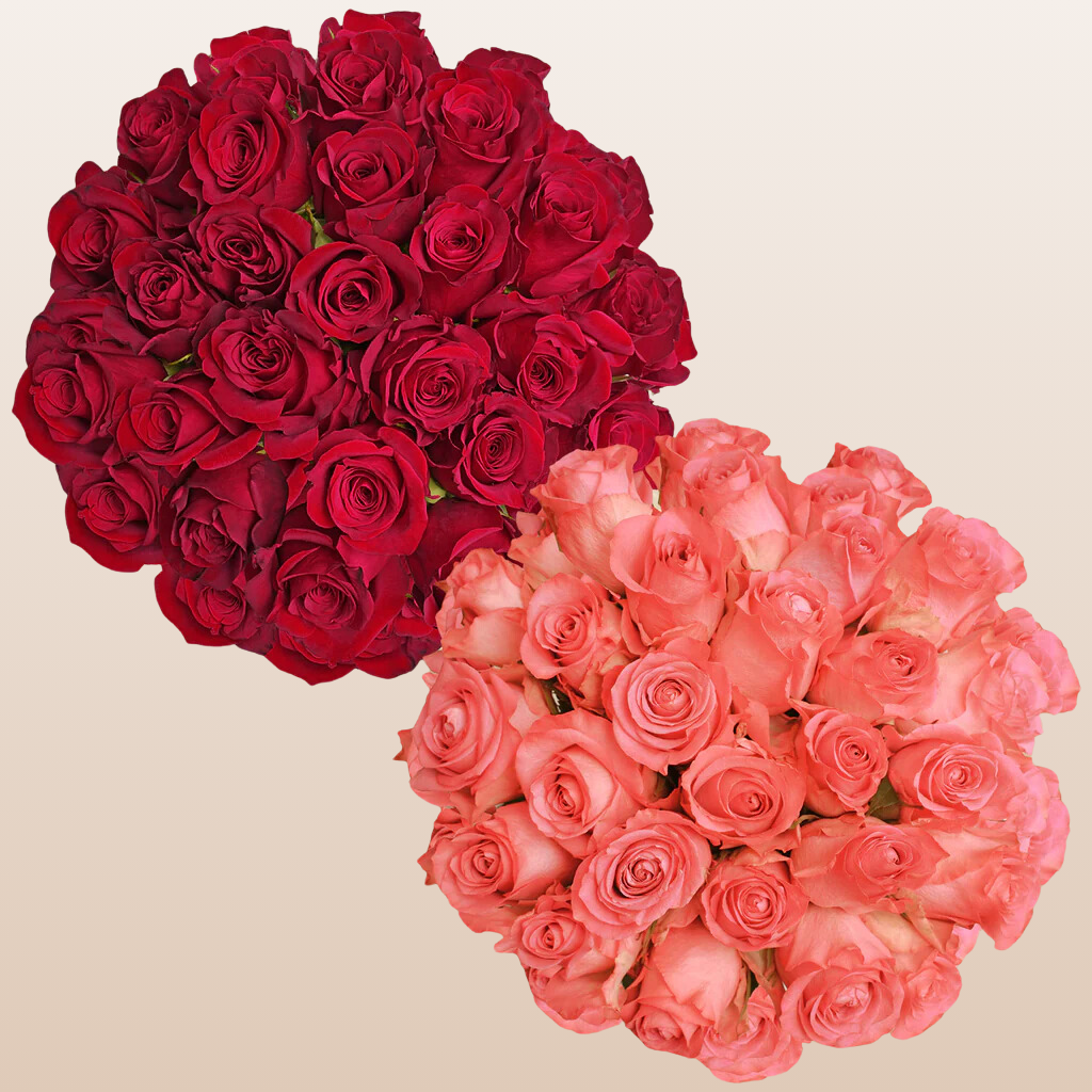 Corel Roses Red and Coral Roses -EbloomsDirect