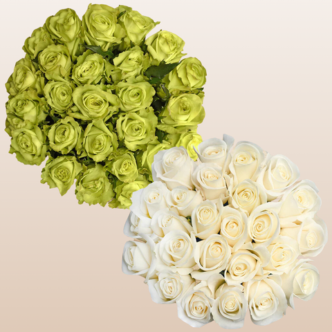 Duo White - Green Roses