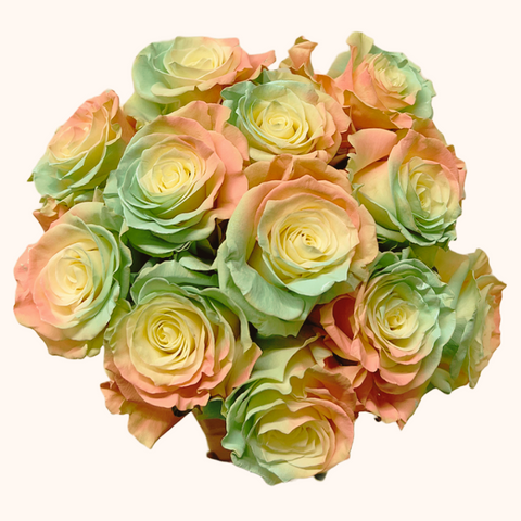 Easter Egg Rainbow Tinted Roses