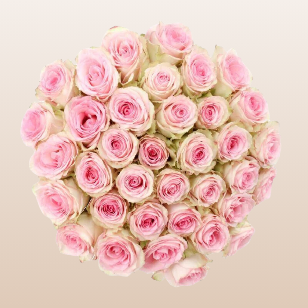 Esperance Roses