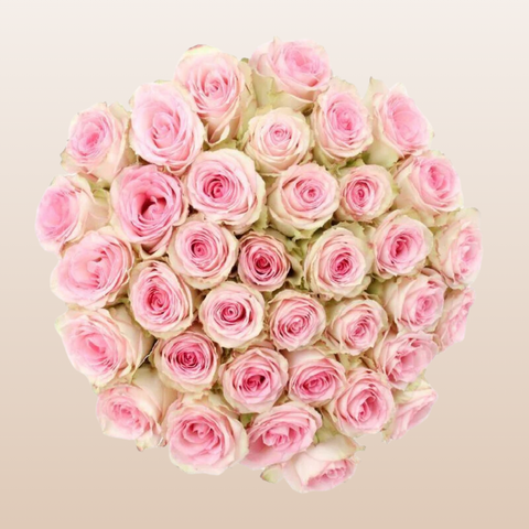 Esperance Roses
