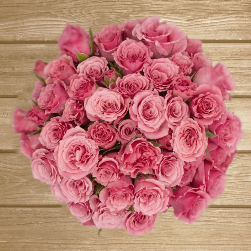 Eva Medium Pink Spray Rose - EbloomsDirect