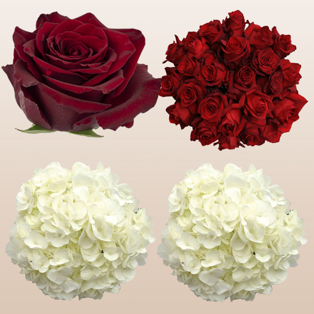 Flower Combo Box #8 Roses & Hydrangeas