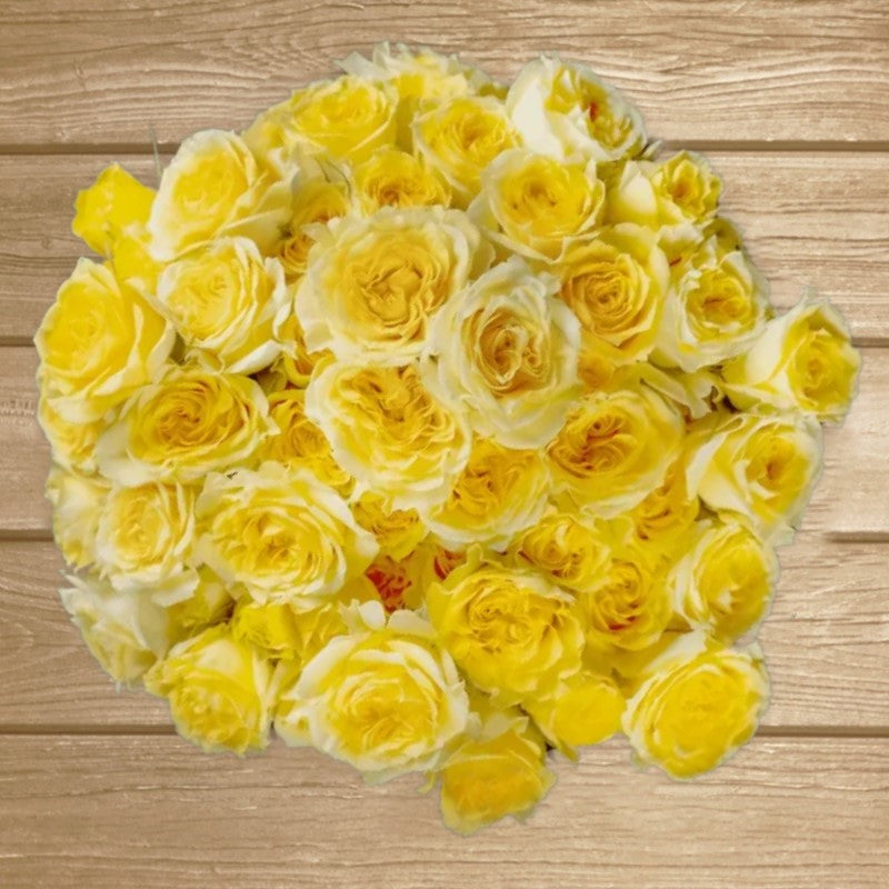 Fibonacci Gioconda yellow Spray rose - EbloomsDirect