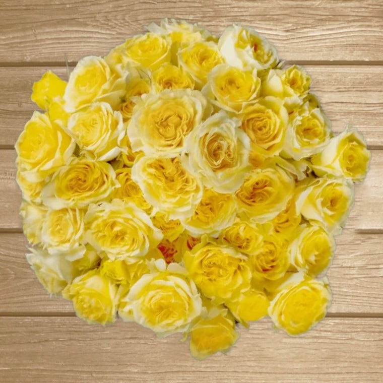 Fibonacci Gioconda Yellow Spray Roses
