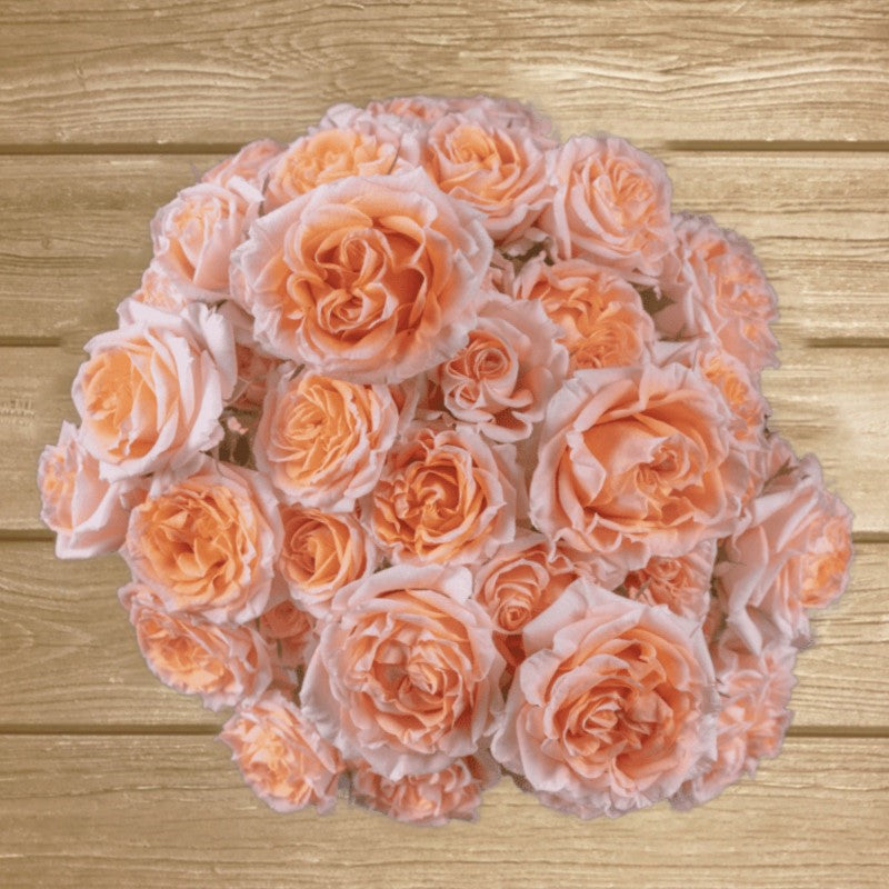 Fibonacci Peach Spray Rose - EbloomsDirect