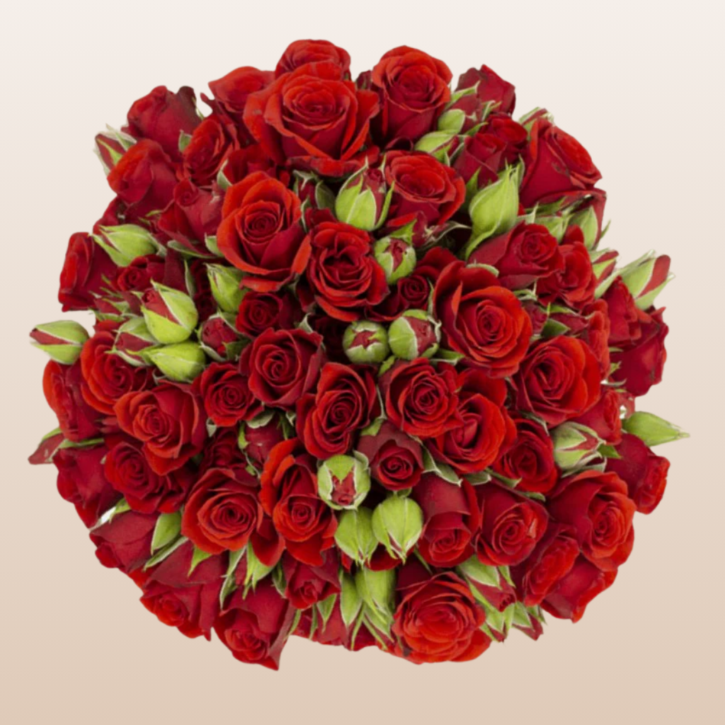 Fire King Red Spray Roses