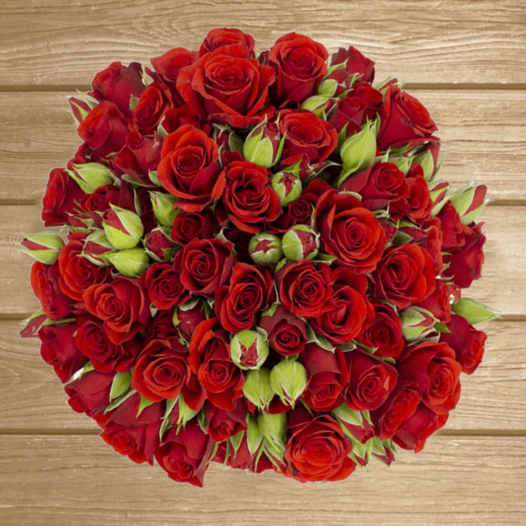 Fire King Red Spray Roses